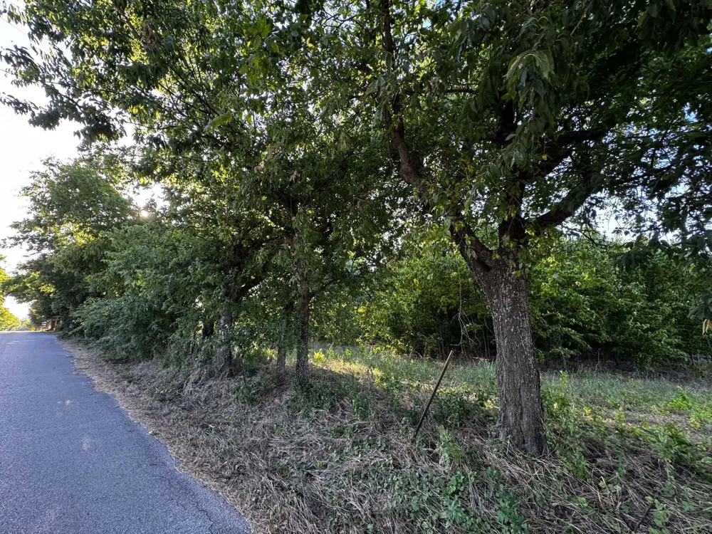 4270 Belz Road Sanger, TX 76266