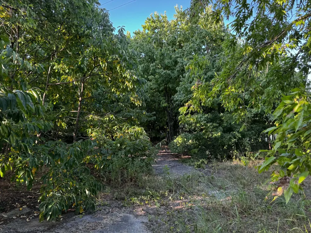 4270 Belz Road Sanger, TX 76266