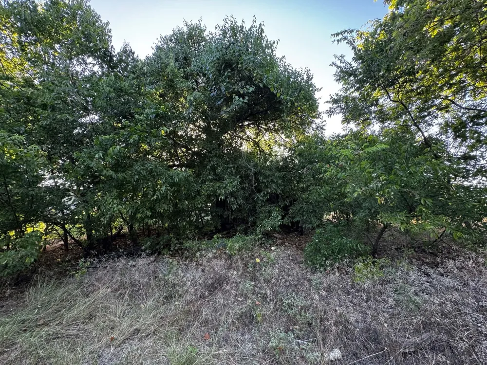 4270 Belz Road Sanger, TX 76266