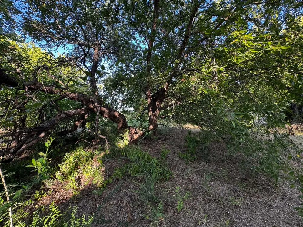 4270 Belz Road Sanger, TX 76266