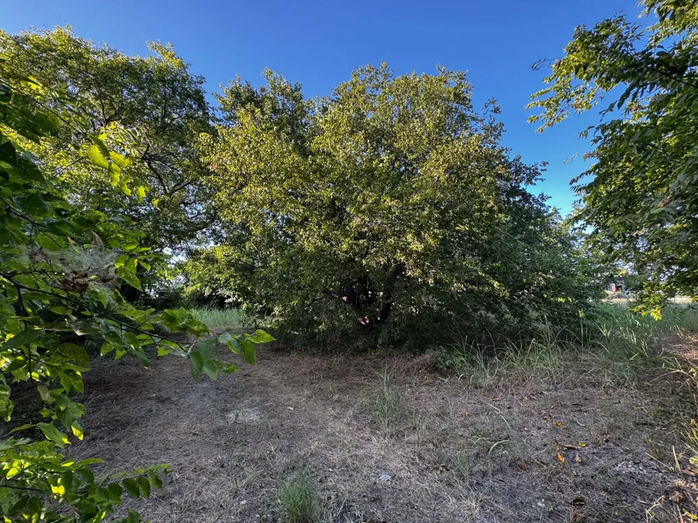 4270 Belz Road Sanger, TX 76266