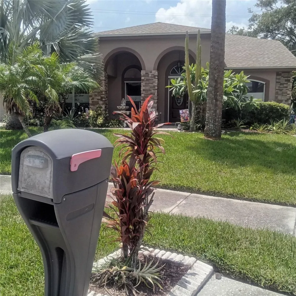 15301 MONTREAT WAY Tampa, FL 33625
