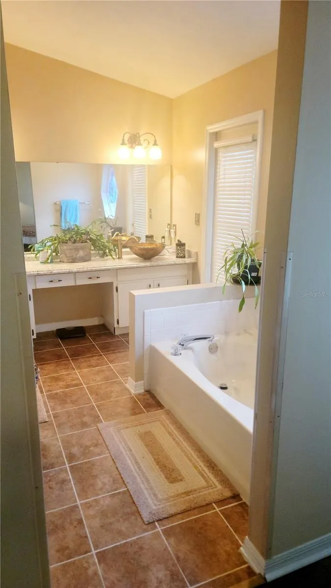 15301 MONTREAT WAY Tampa, FL 33625
