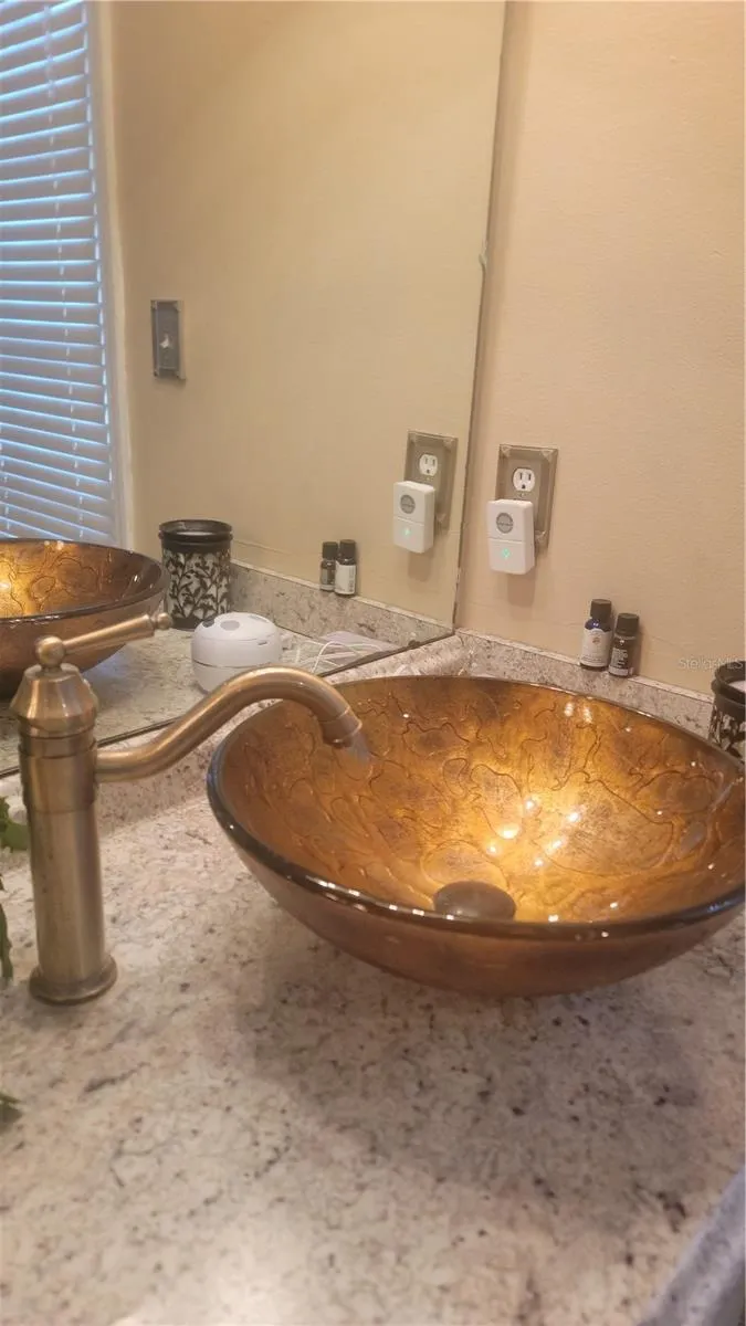 15301 MONTREAT WAY Tampa, FL 33625