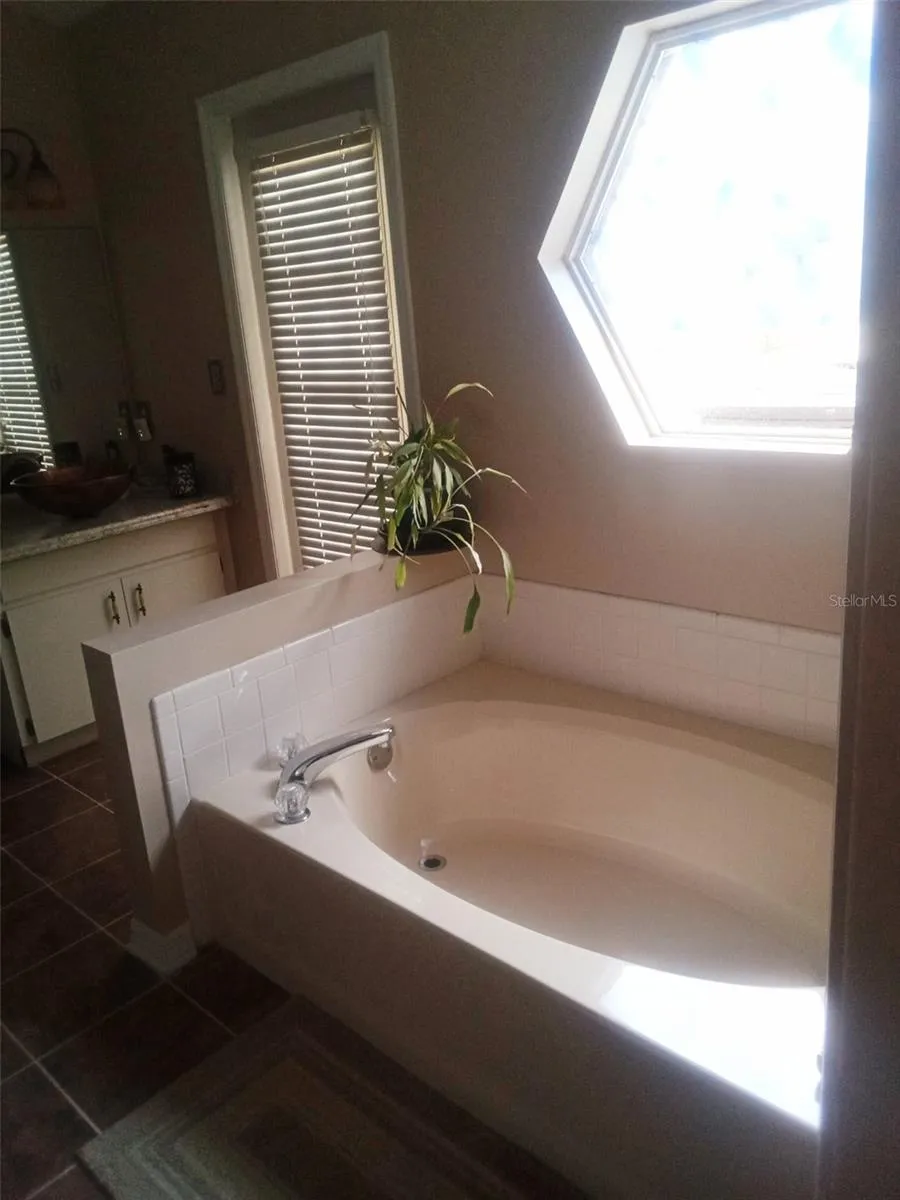 15301 MONTREAT WAY Tampa, FL 33625