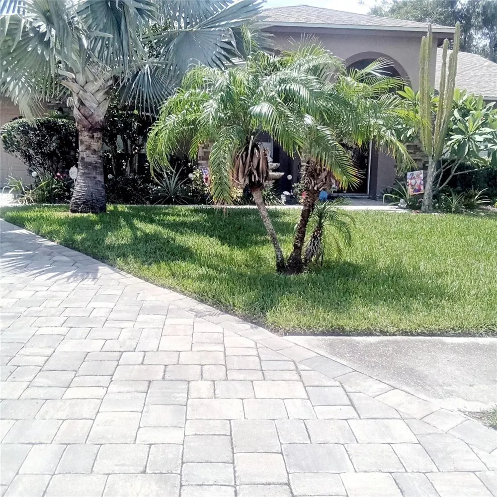 15301 MONTREAT WAY Tampa, FL 33625