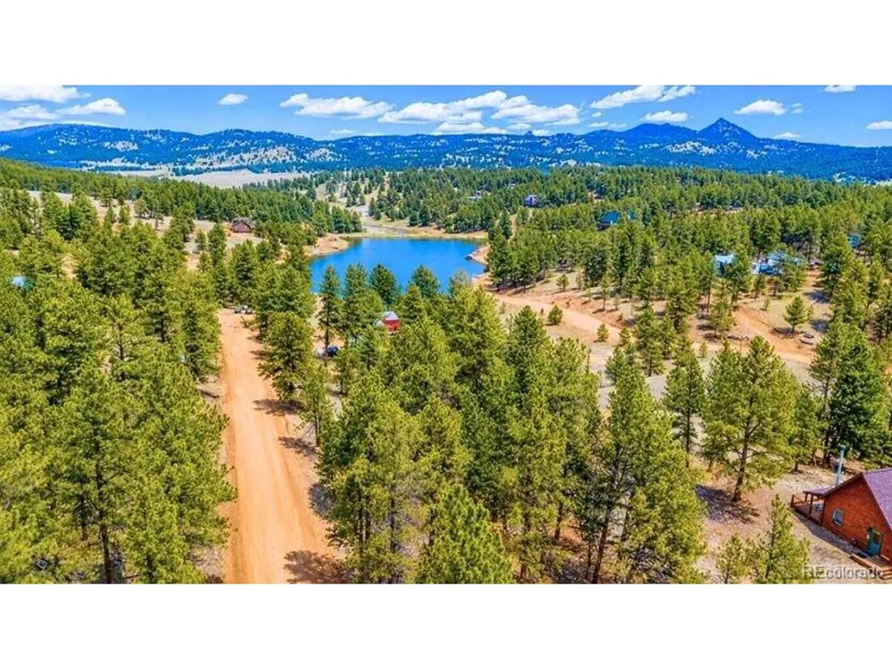 196 Freeman Drive Florissant, CO 80816