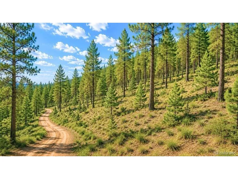 196 Freeman Drive Florissant, CO 80816