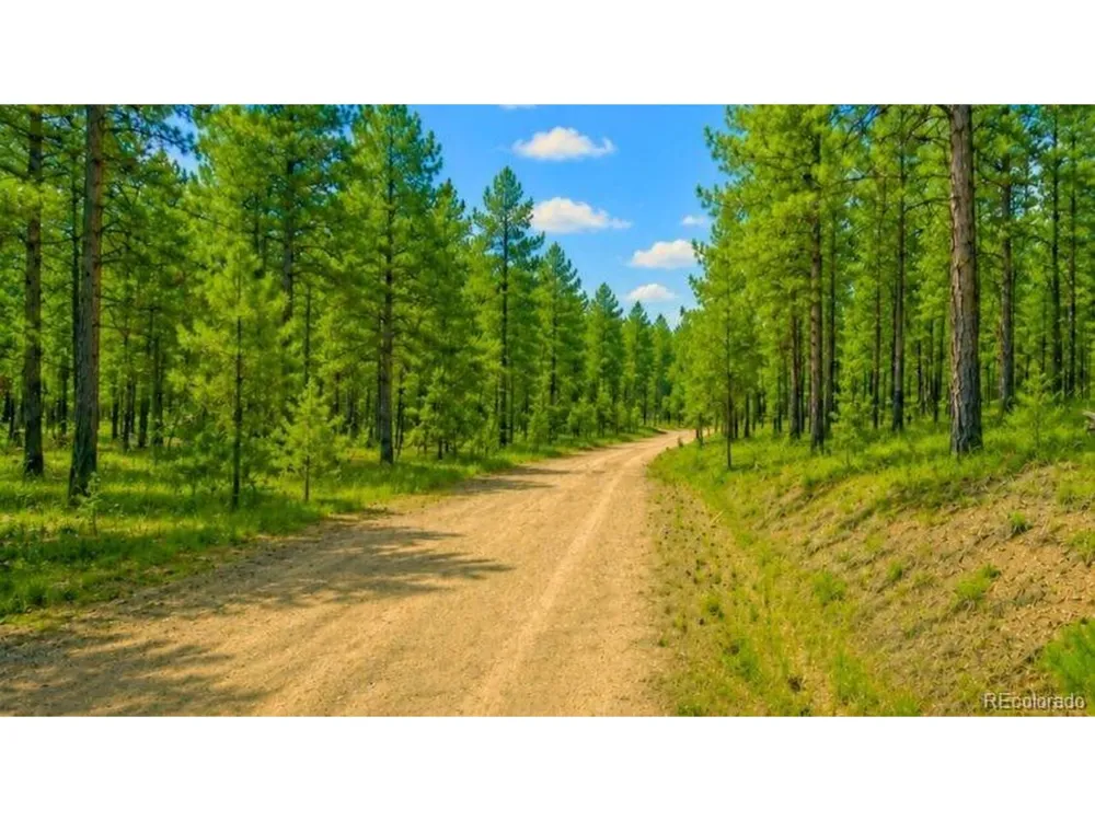 196 Freeman Drive Florissant, CO 80816