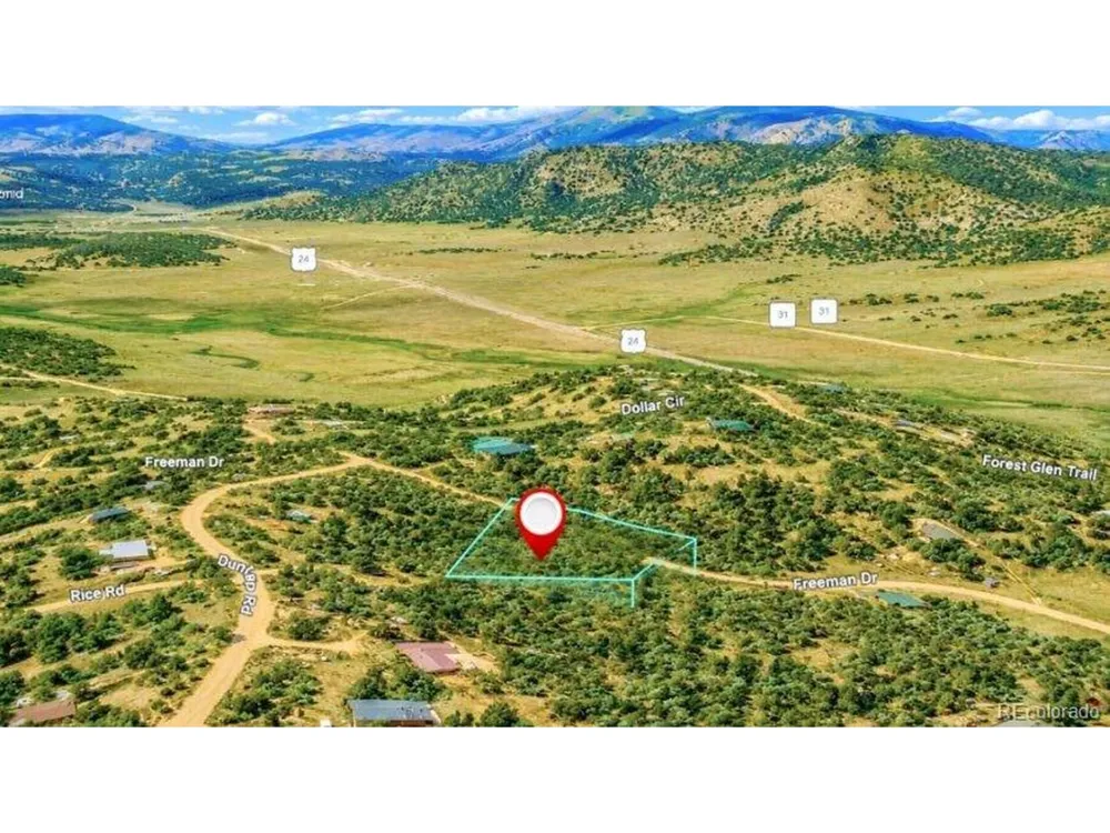 196 Freeman Drive Florissant, CO 80816