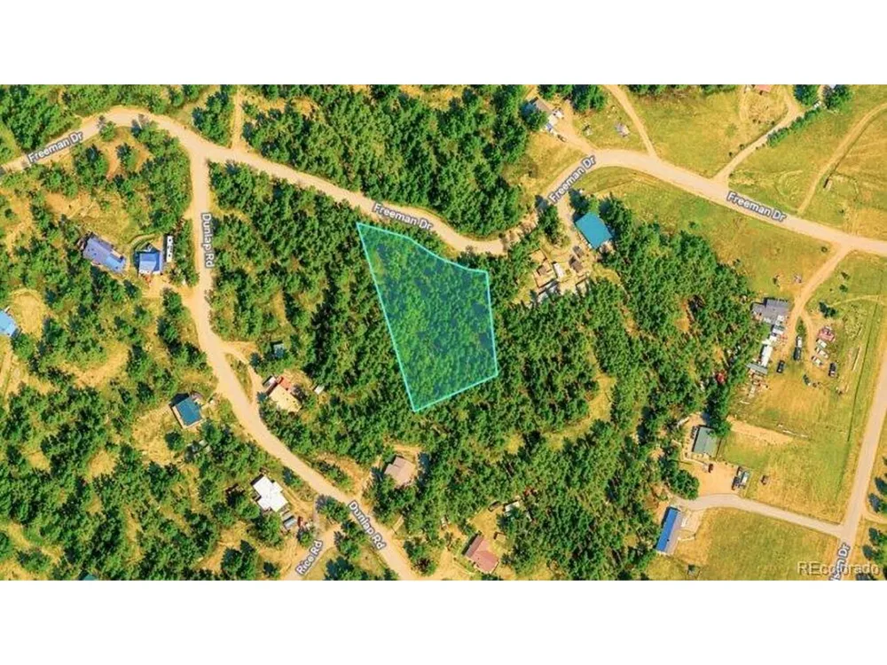196 Freeman Drive Florissant, CO 80816