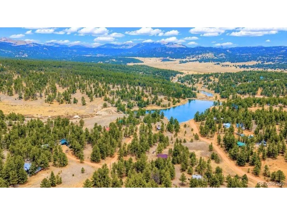196 Freeman Drive Florissant, CO 80816