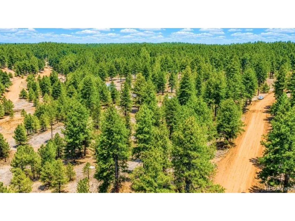 196 Freeman Drive Florissant, CO 80816