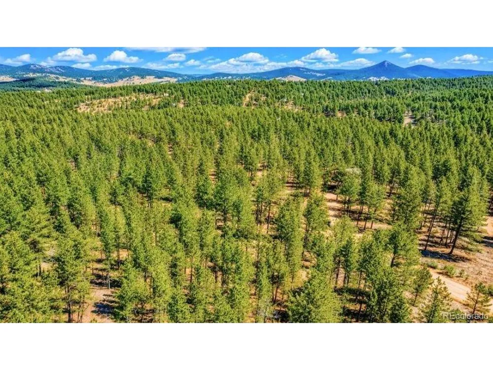 196 Freeman Drive Florissant, CO 80816