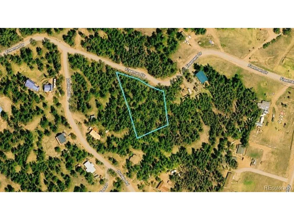 196 Freeman Drive Florissant, CO 80816