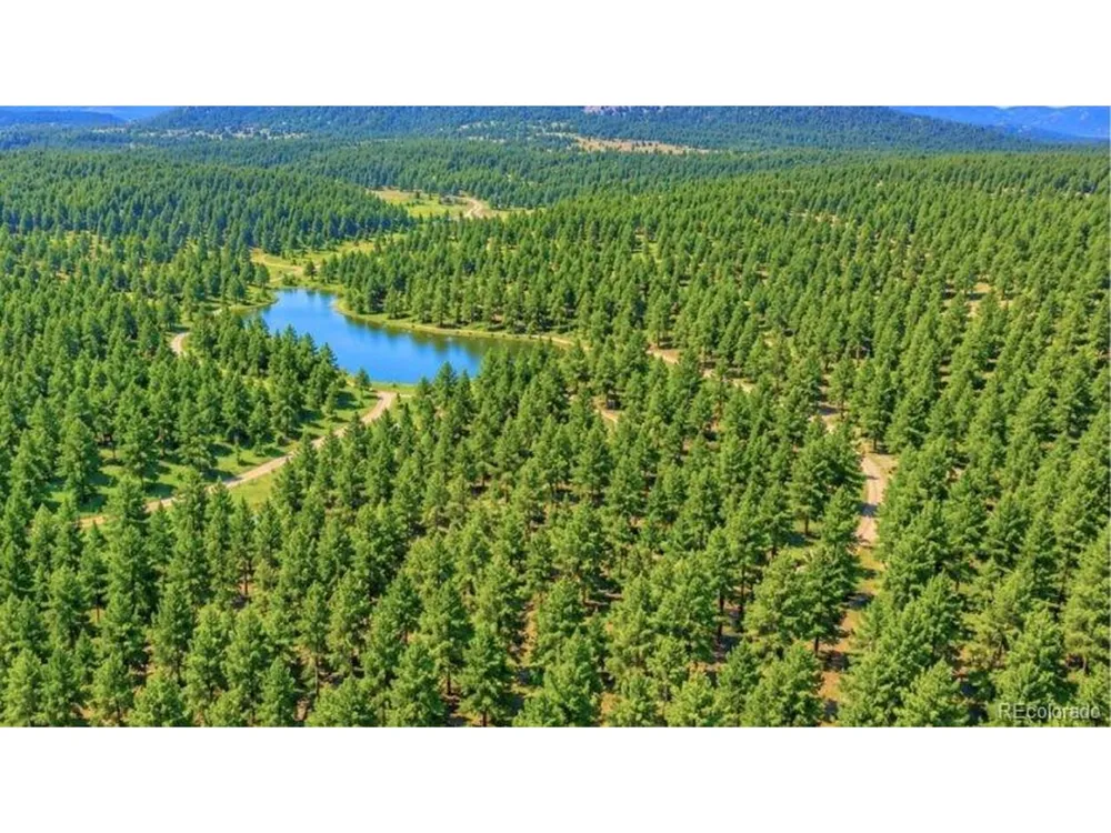 196 Freeman Drive Florissant, CO 80816