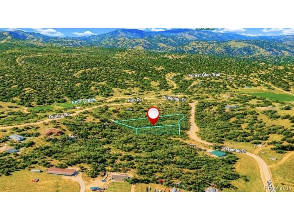 196 Freeman Drive Florissant, CO 80816