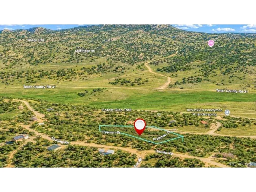 196 Freeman Drive Florissant, CO 80816