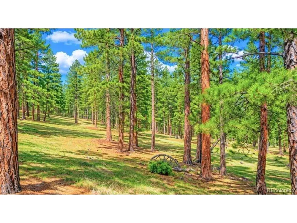 196 Freeman Drive Florissant, CO 80816