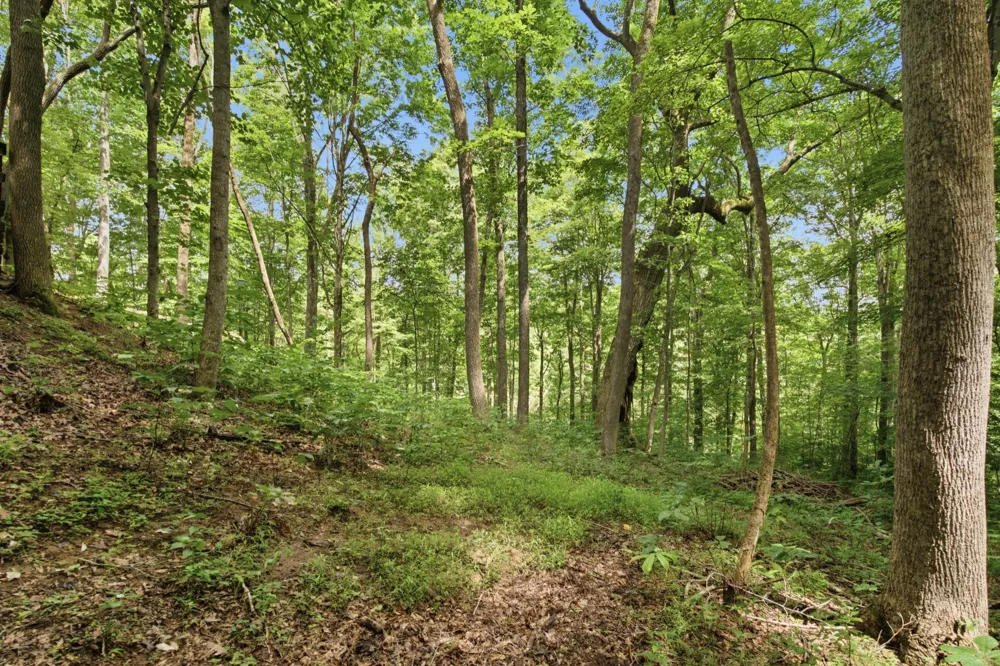 487 Rocky River Shores Drive Rock Island, TN 38581