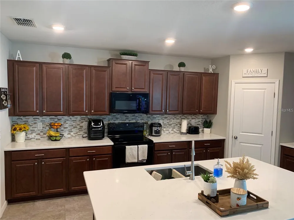 10460 CARLOWAY HILLS DRIVE Wimauma, FL 33598