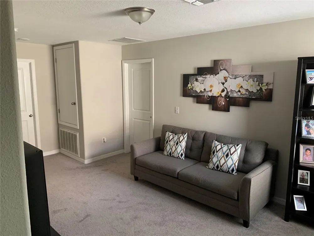 10460 CARLOWAY HILLS DRIVE Wimauma, FL 33598