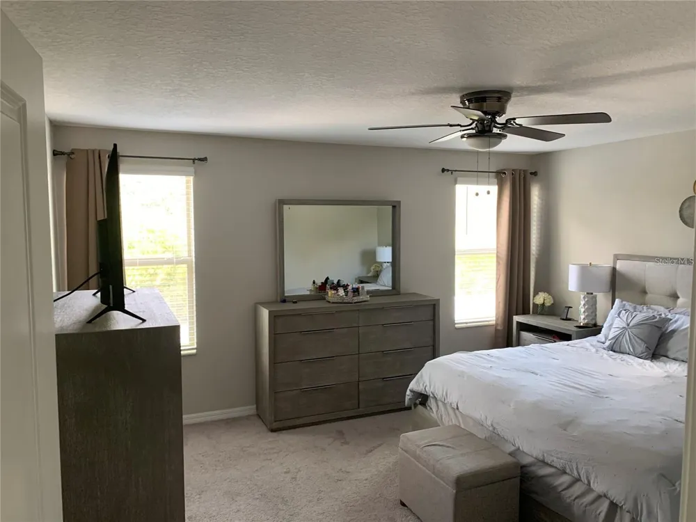 10460 CARLOWAY HILLS DRIVE Wimauma, FL 33598