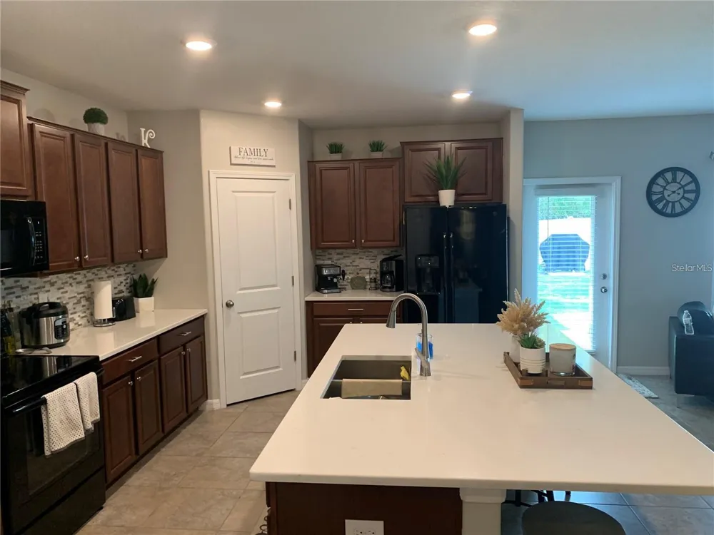10460 CARLOWAY HILLS DRIVE Wimauma, FL 33598