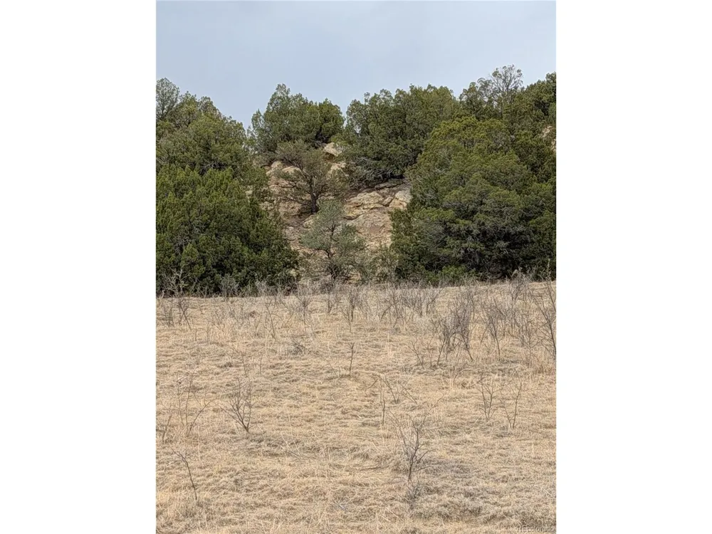 32540 County Road 525 Walsenburg, CO 81089