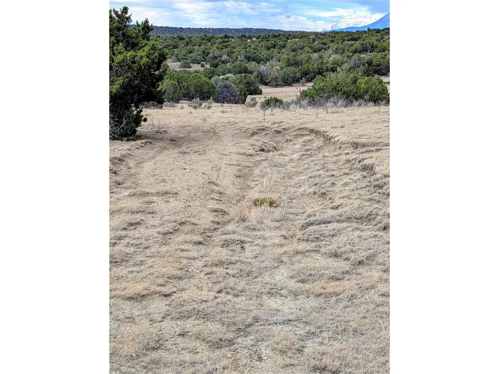 32540 County Road 525 Walsenburg, CO 81089