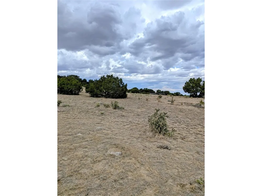 32540 County Road 525 Walsenburg, CO 81089
