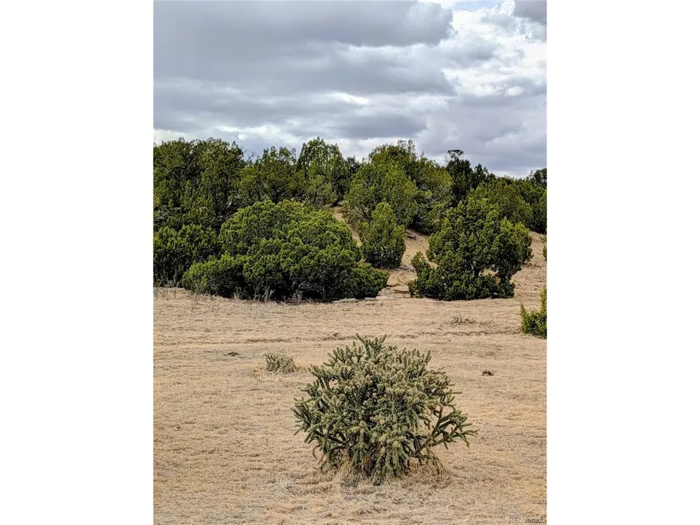 32540 County Road 525 Walsenburg, CO 81089