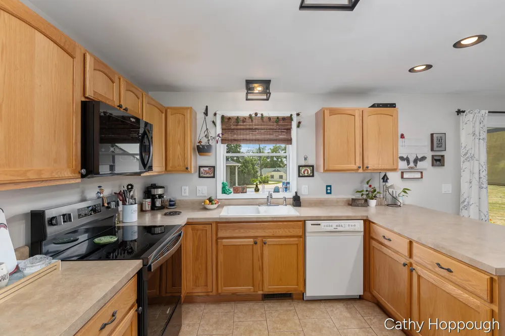 918 Emerald Circle Lake Odessa, MI 48849