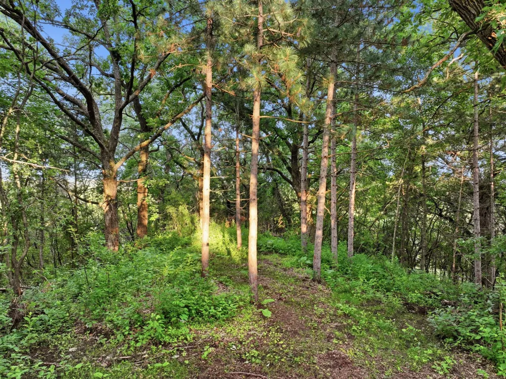 10761 Penfield Avenue Court Stillwater, MN 55082