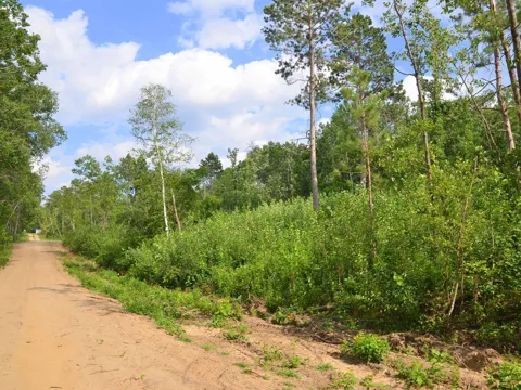 XYZ Firewood Trail
