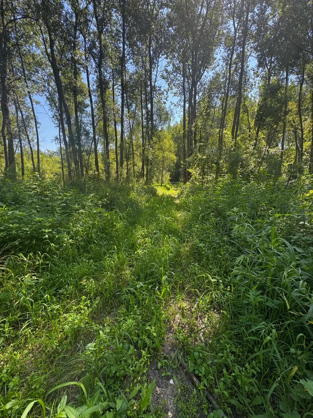 TBD US HWY 169 Le Sueur, MN 56058