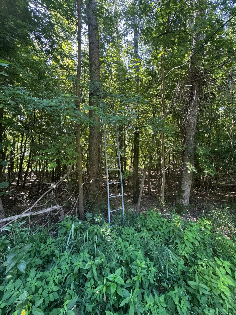 TBD US HWY 169 Le Sueur, MN 56058