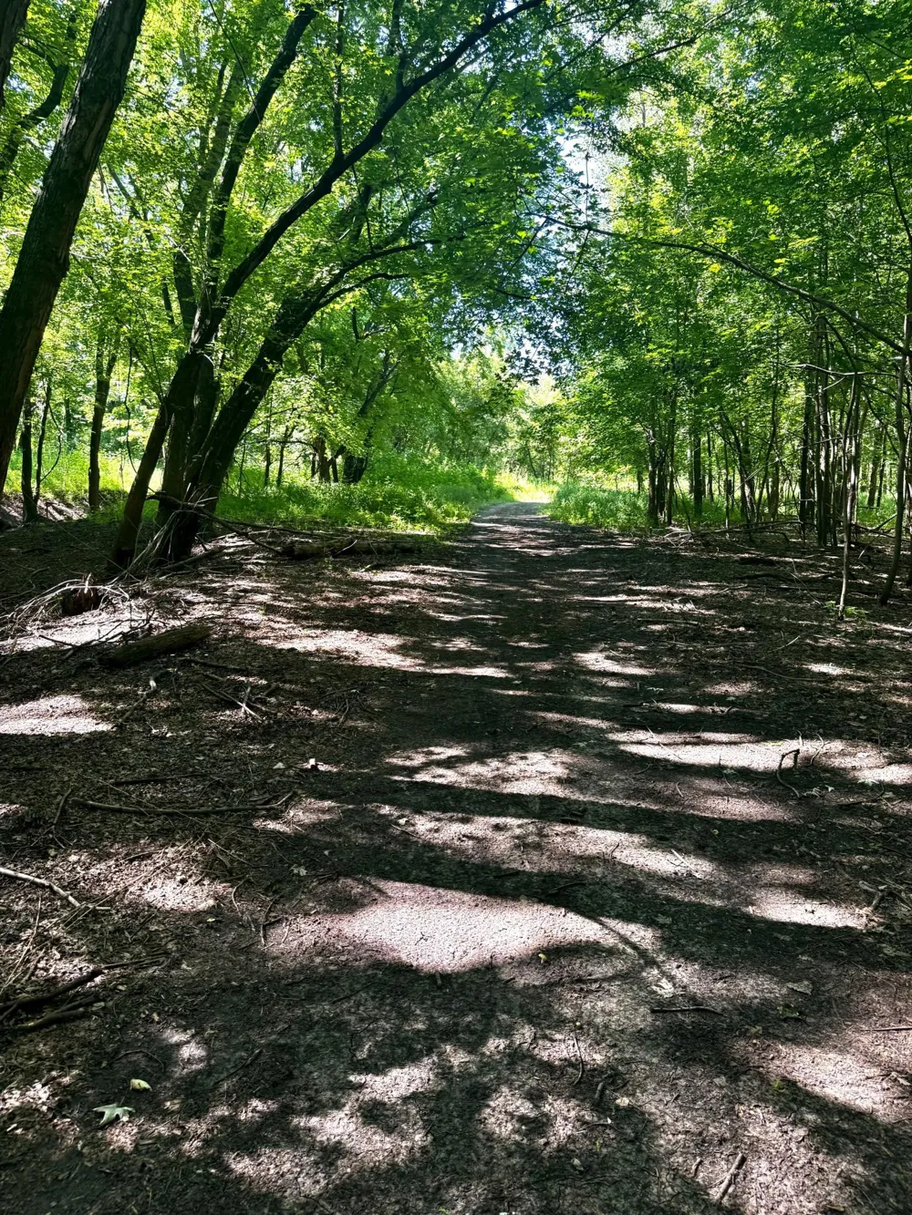 TBD US HWY 169 Le Sueur, MN 56058