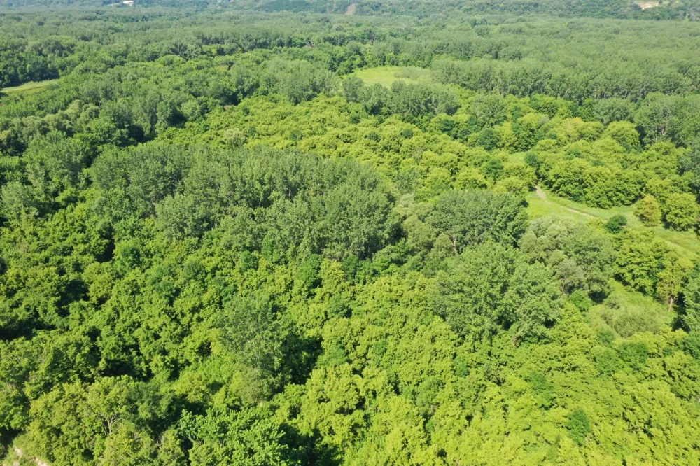 TBD US HWY 169 Le Sueur, MN 56058