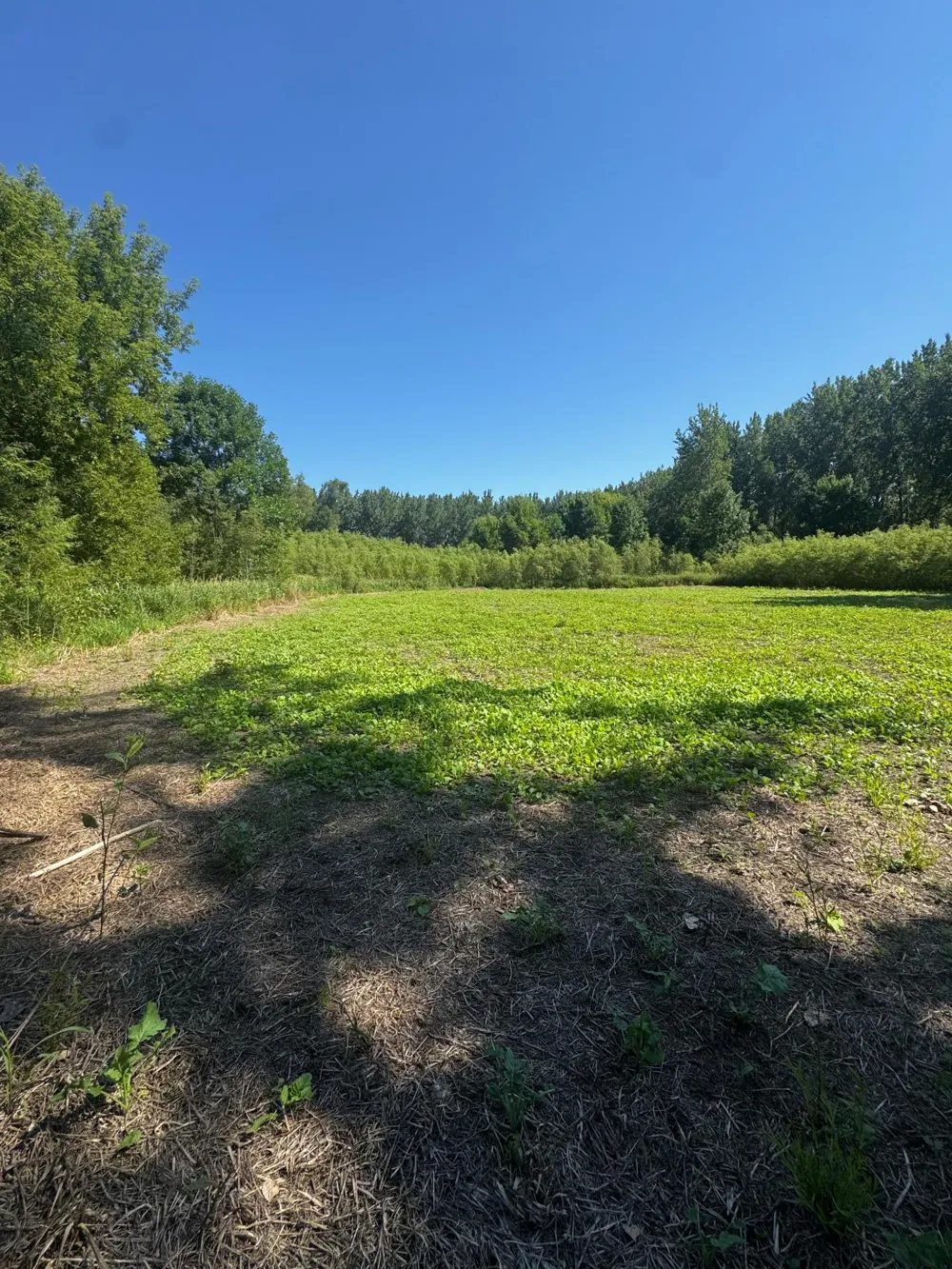 TBD US HWY 169 Le Sueur, MN 56058