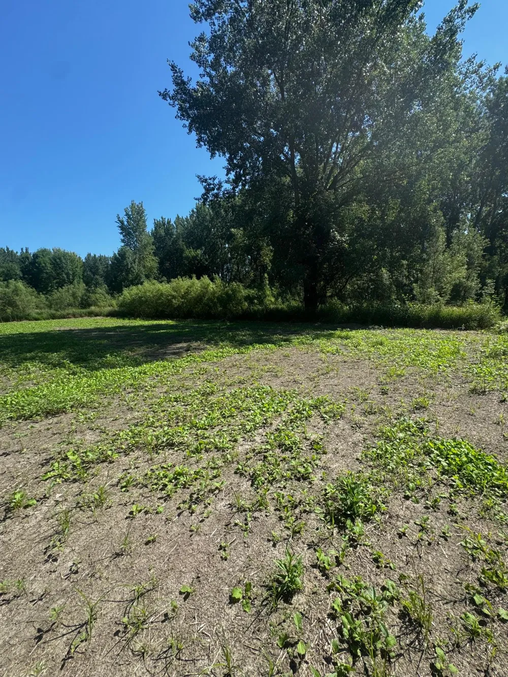 TBD US HWY 169 Le Sueur, MN 56058