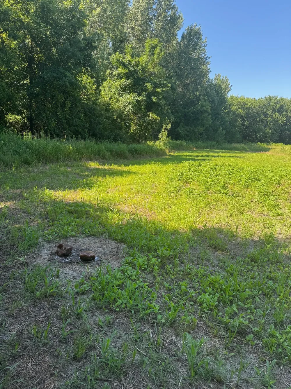 TBD US HWY 169 Le Sueur, MN 56058