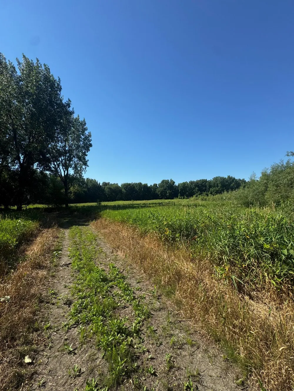 TBD US HWY 169 Le Sueur, MN 56058