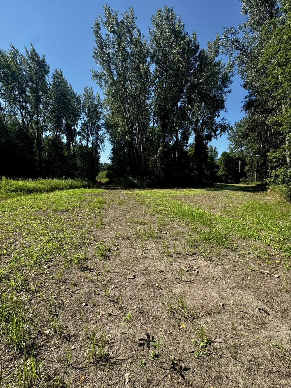 TBD US HWY 169 Le Sueur, MN 56058