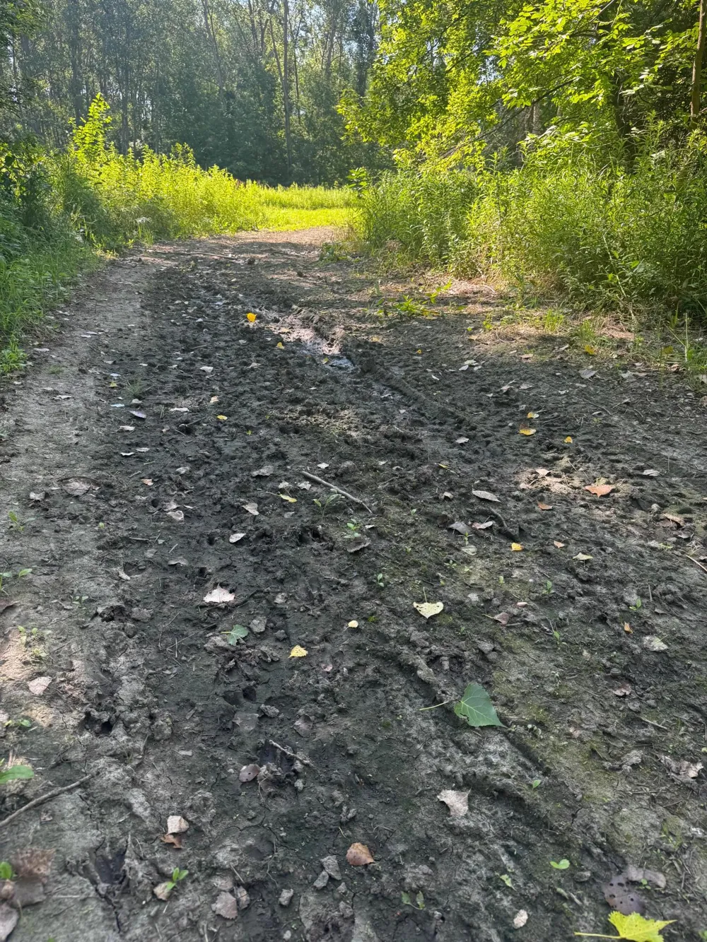 TBD US HWY 169 Le Sueur, MN 56058