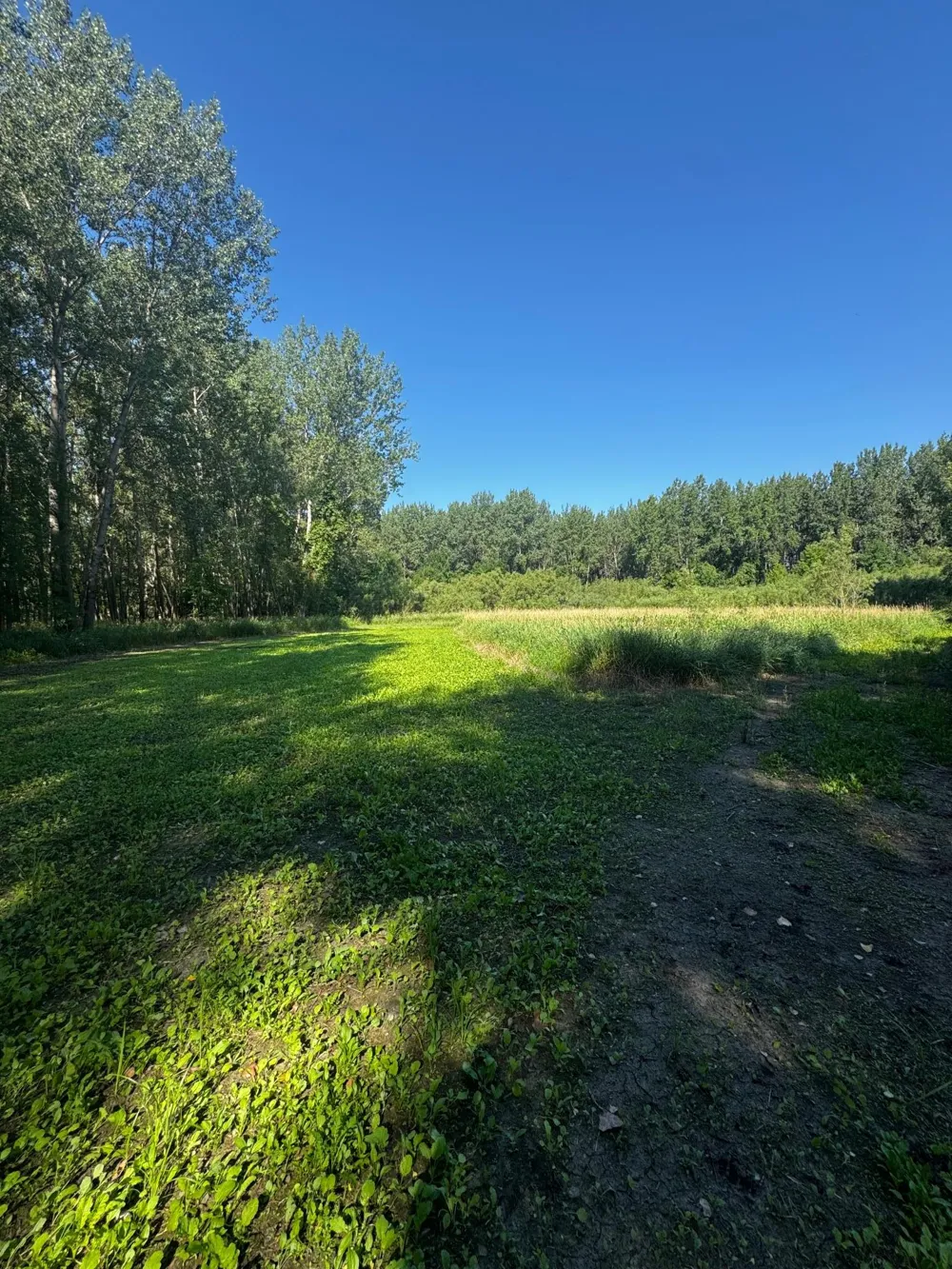 TBD US HWY 169 Le Sueur, MN 56058