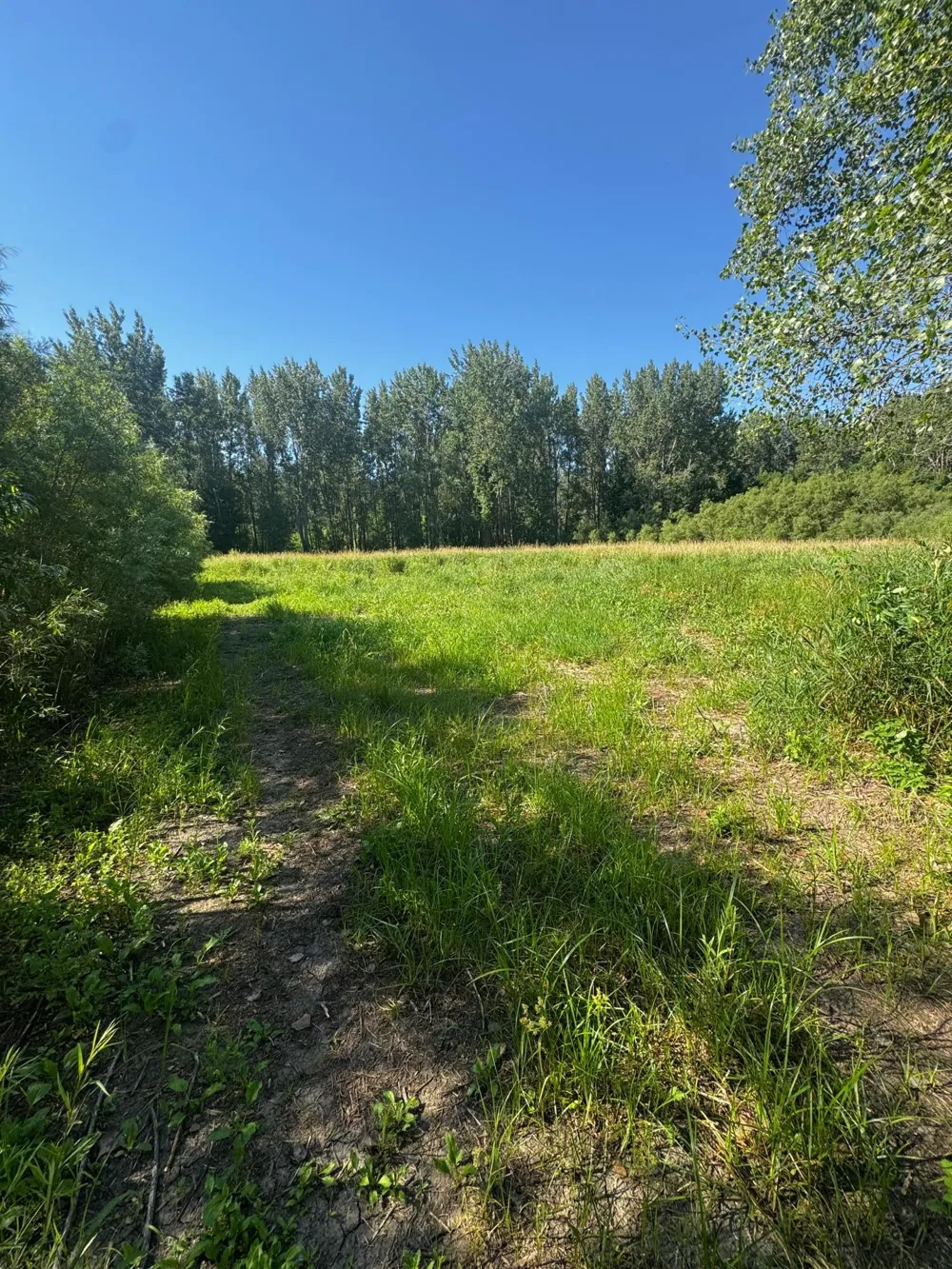 TBD US HWY 169 Le Sueur, MN 56058