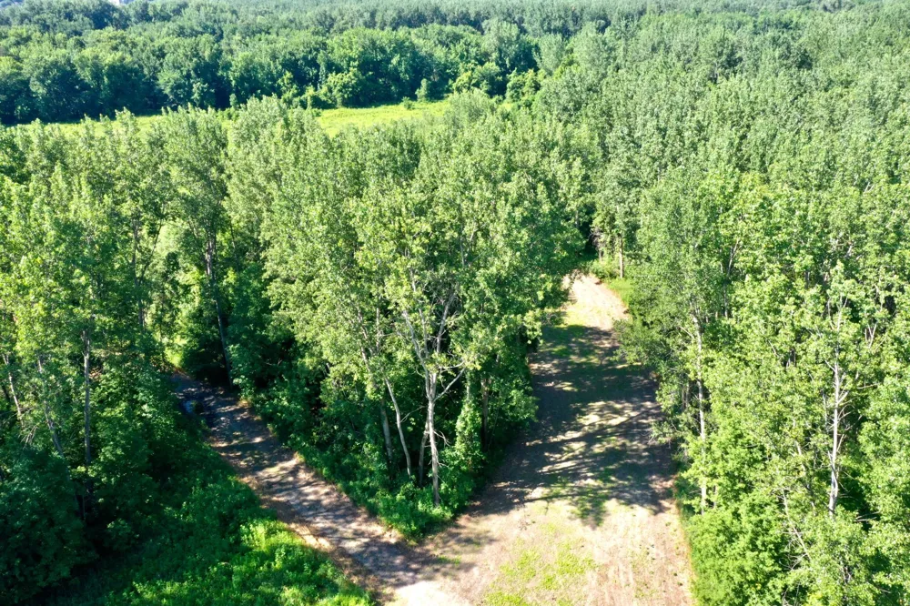 TBD US HWY 169 Le Sueur, MN 56058