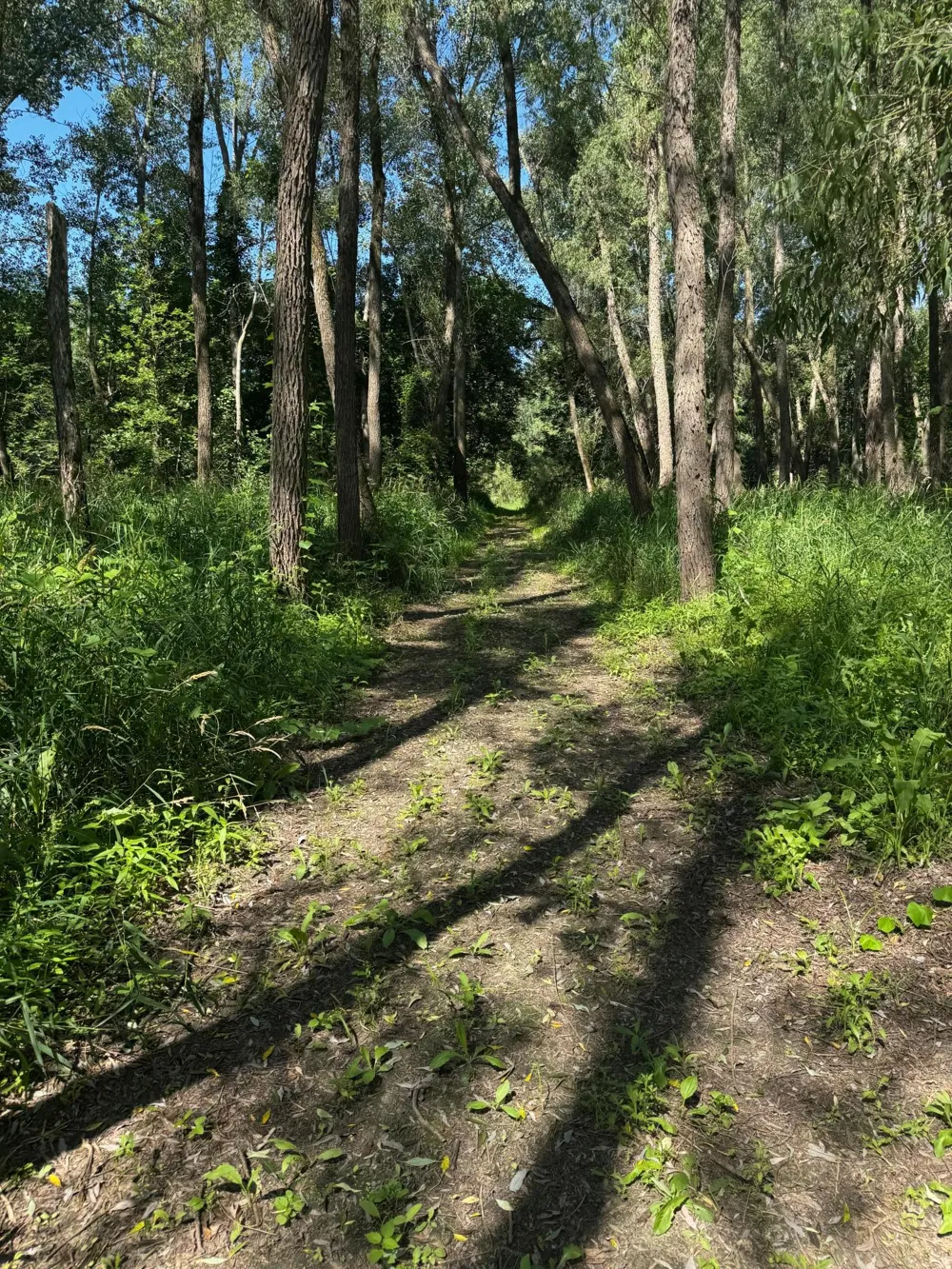 TBD US HWY 169 Le Sueur, MN 56058