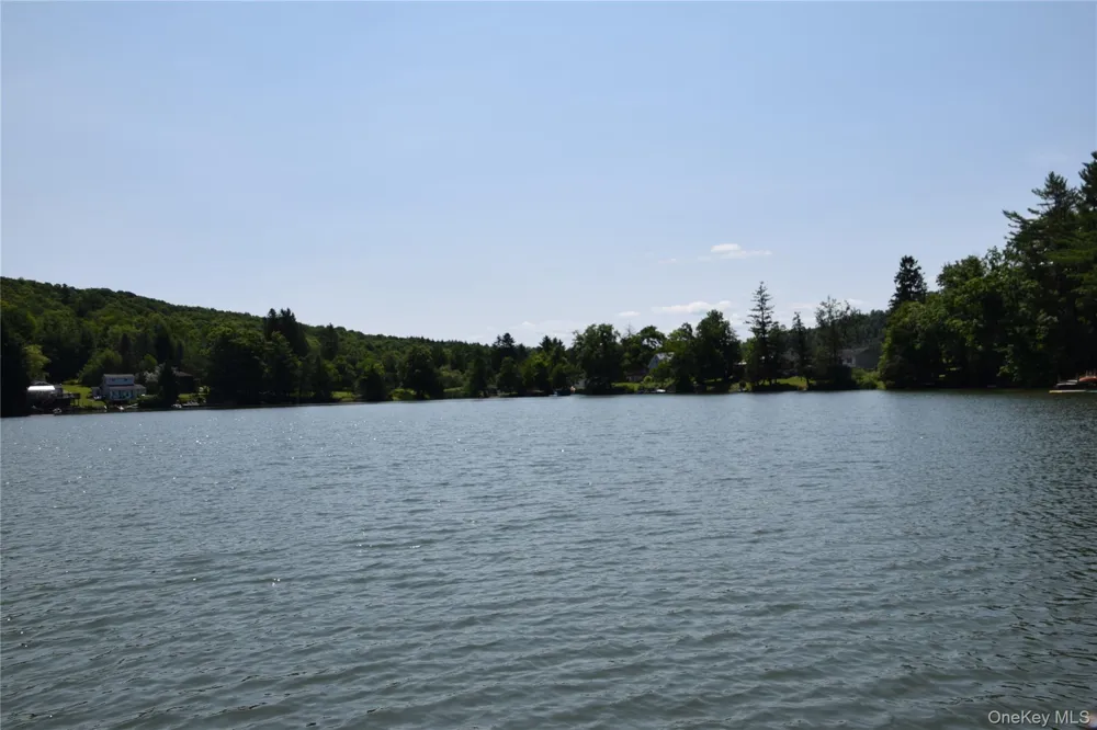 41 West Shore Drive Deposit, NY 13754